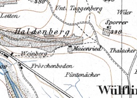 Maienried Siegfriedkarte 1880.jpg